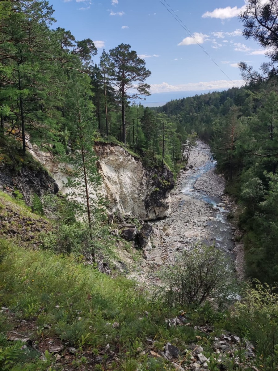 ������ ������� ���� ������