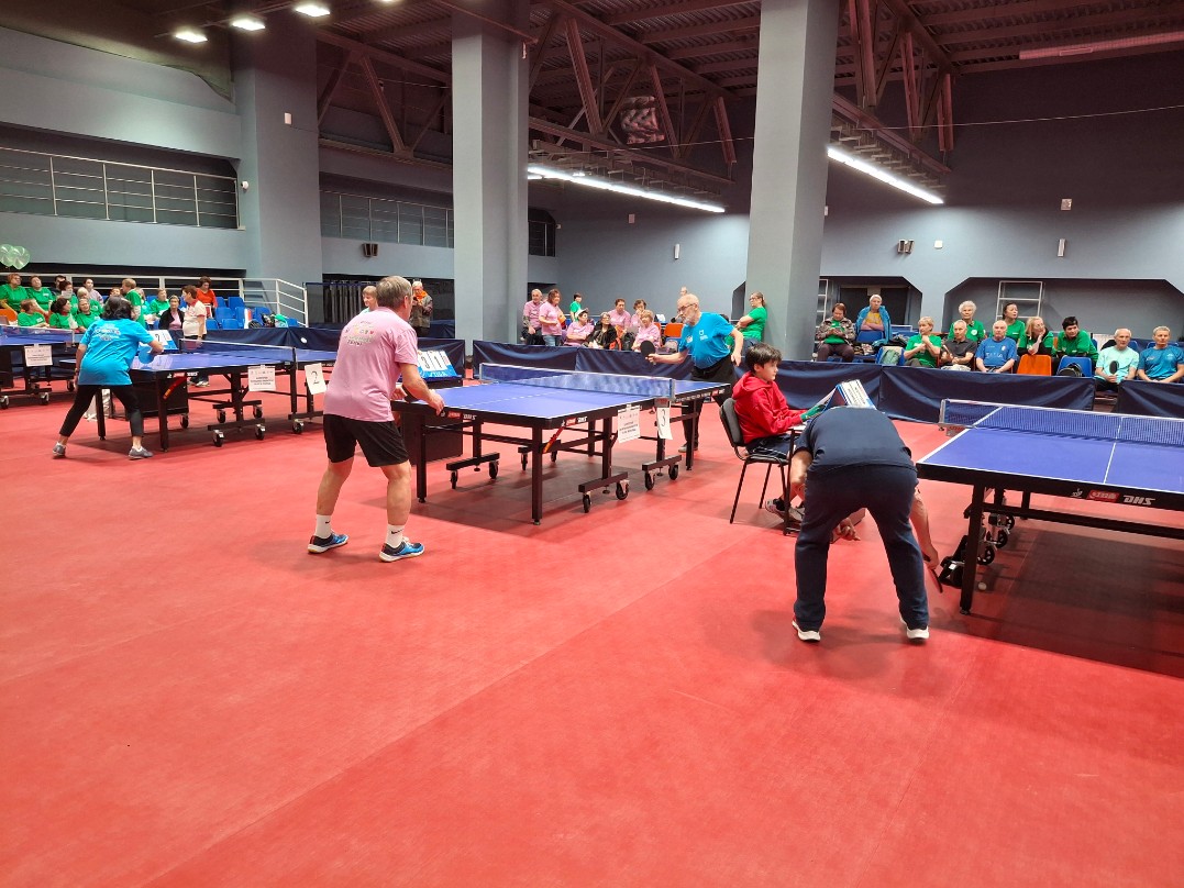 ��������� ������������ �� ����������� ������� � ������ ����������� ��������� '���� ����������. ��������'