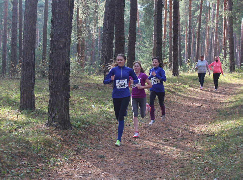 ��������� ����� ���������� (������������) ������������ ������������