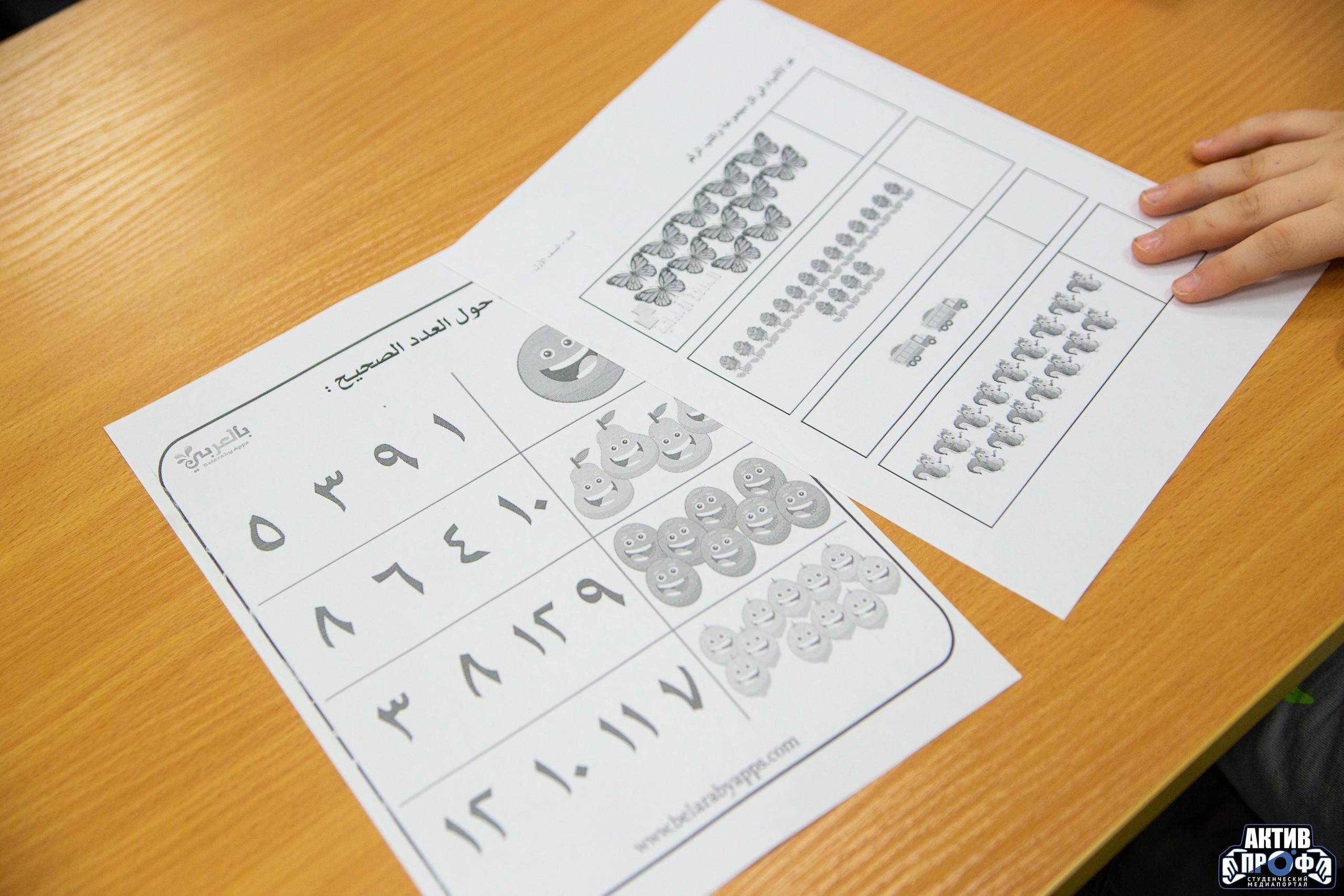 ������� ����������� � ���������� ������: ����� ��������� ��� ���� ����