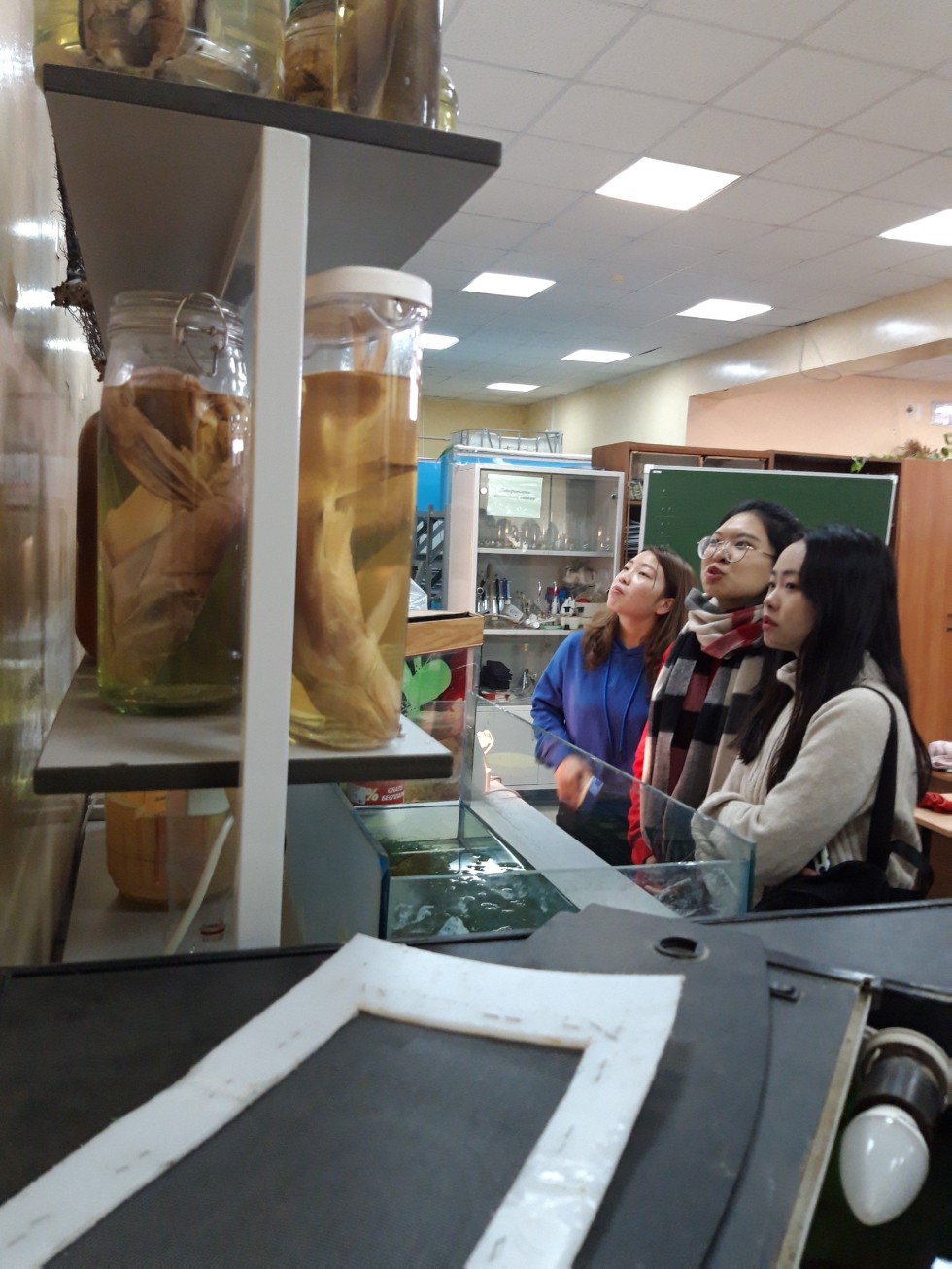 ������ � ����� ��������� ��������� � ����������