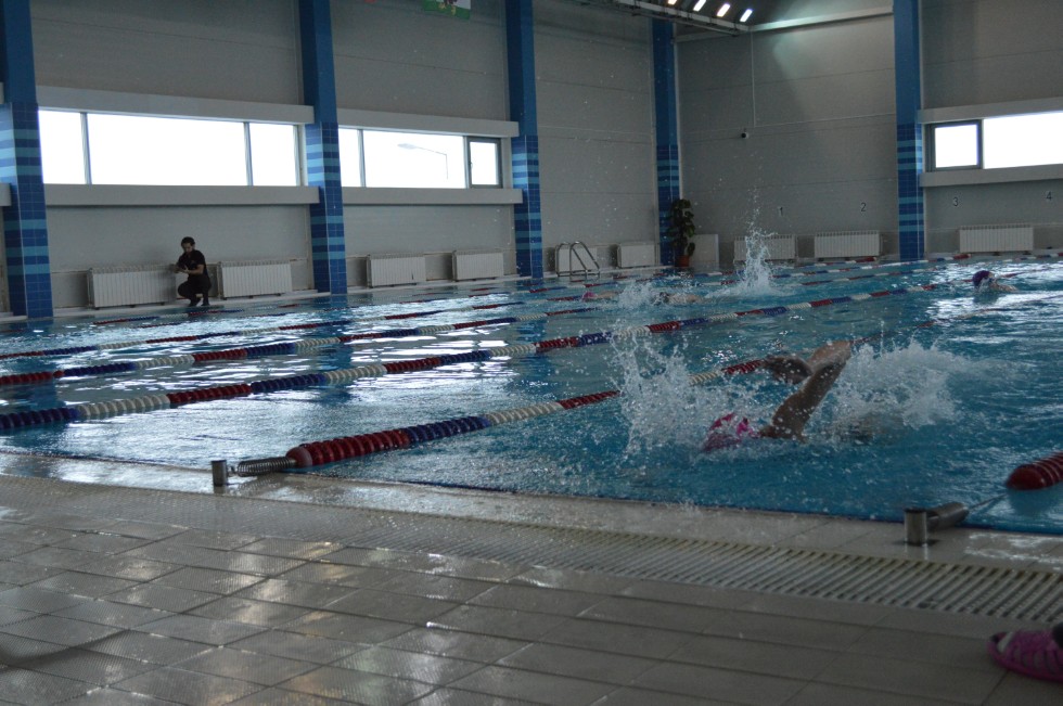 � �������� ���� - �������� ���