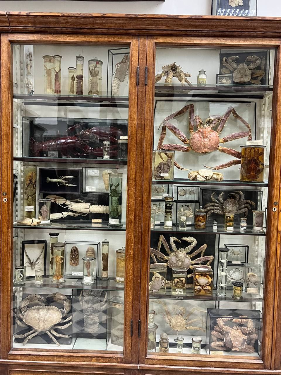 � ������ � �.�. ���������