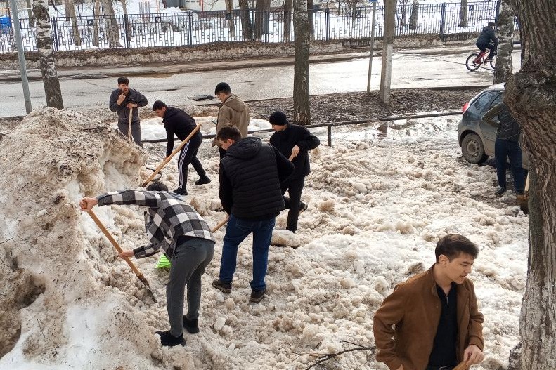 �������� ���������: ����� ���� ��� ������ ���� ,���������� �������� ���