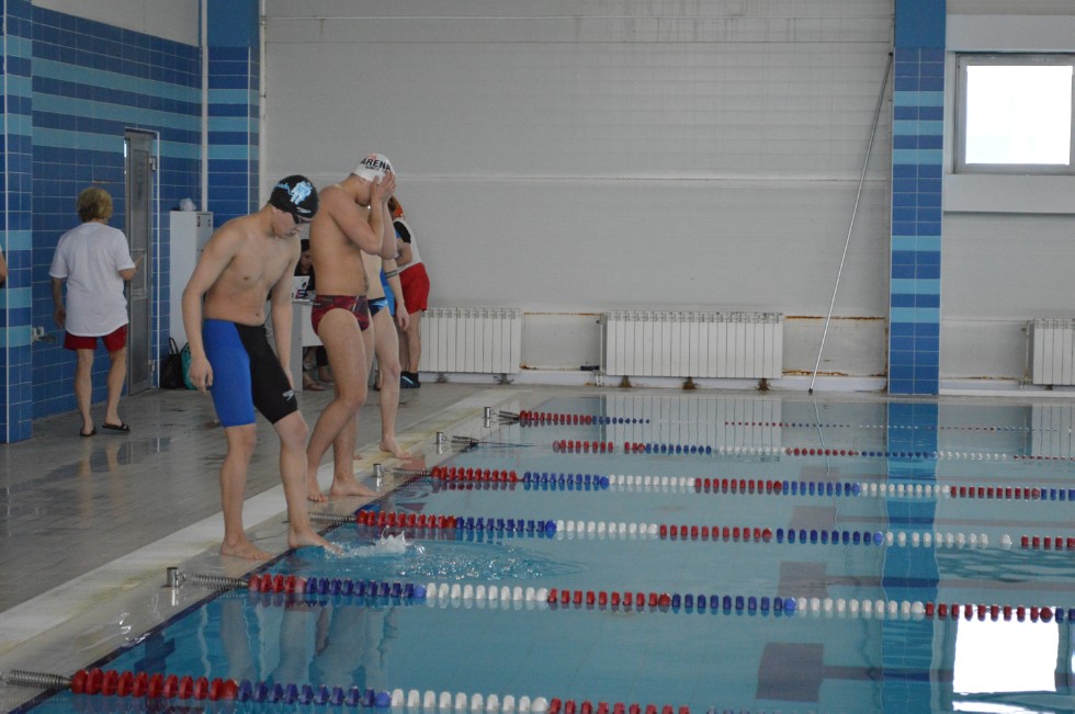 � �������� ���� - �������� ���