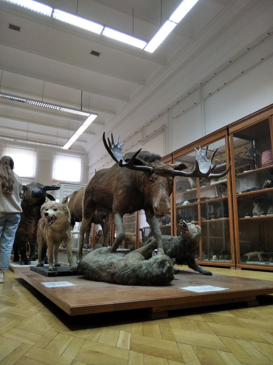 � ������ � �.�. ���������