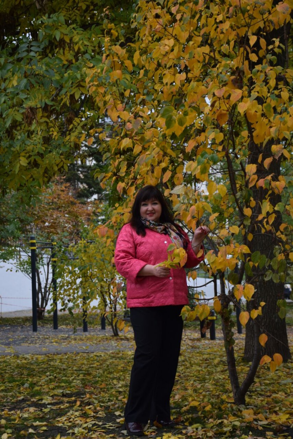 ������ ��������: ������������ ������ ? ��� ���������� ��������