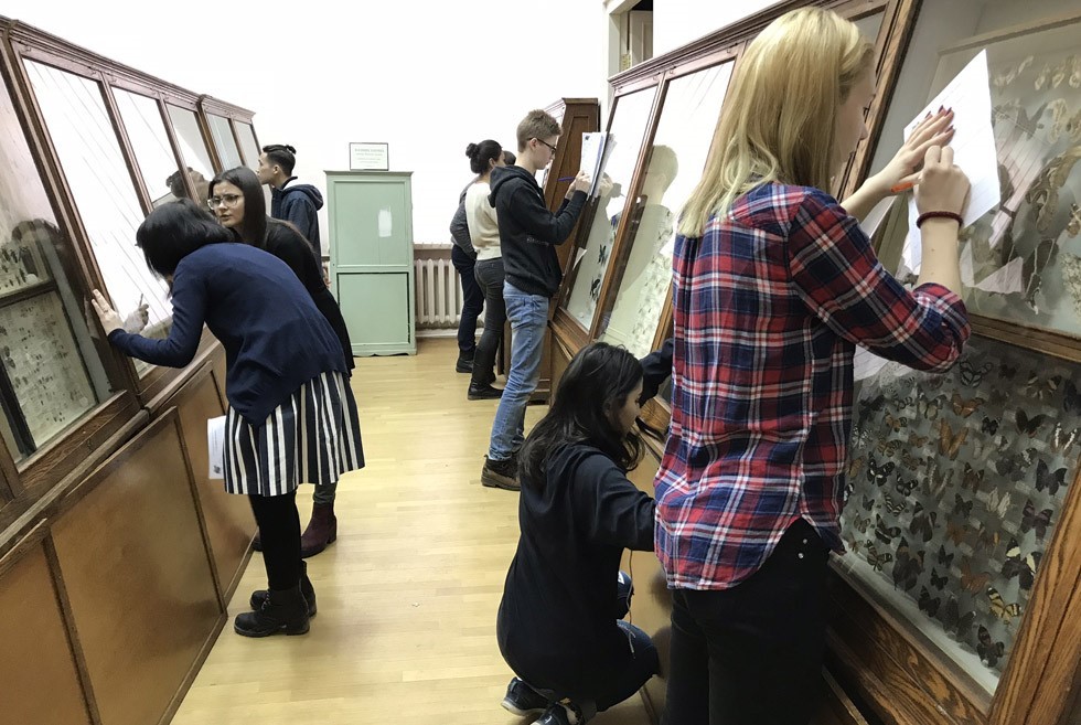 Самым популярным оказался энтомологический зал зоомузея Конкурс-квест