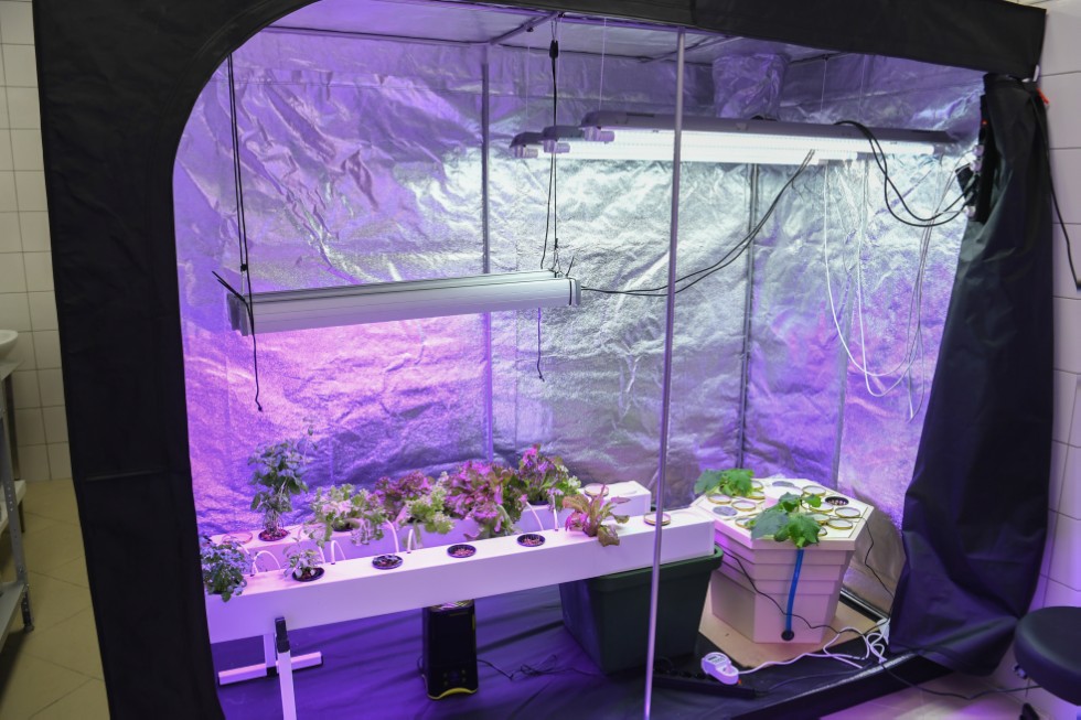 �������� ����������� ������������� �������� � ��������������� ������ ��������� � ��������� ��������� ����� � �������� �� �� ������ ���������������� ������ '������'