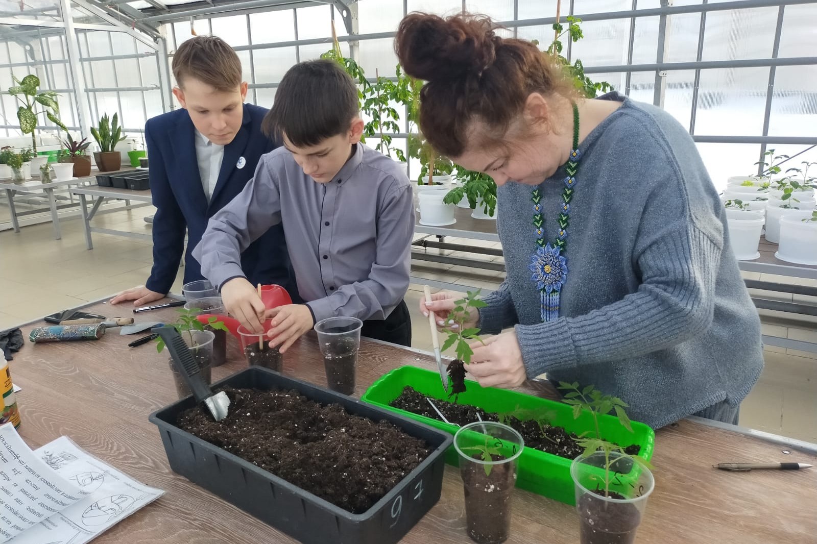 ������-����� �� ��������� ������� ������� ������� ����������� 6 '�' ������ ��� ����� ���������