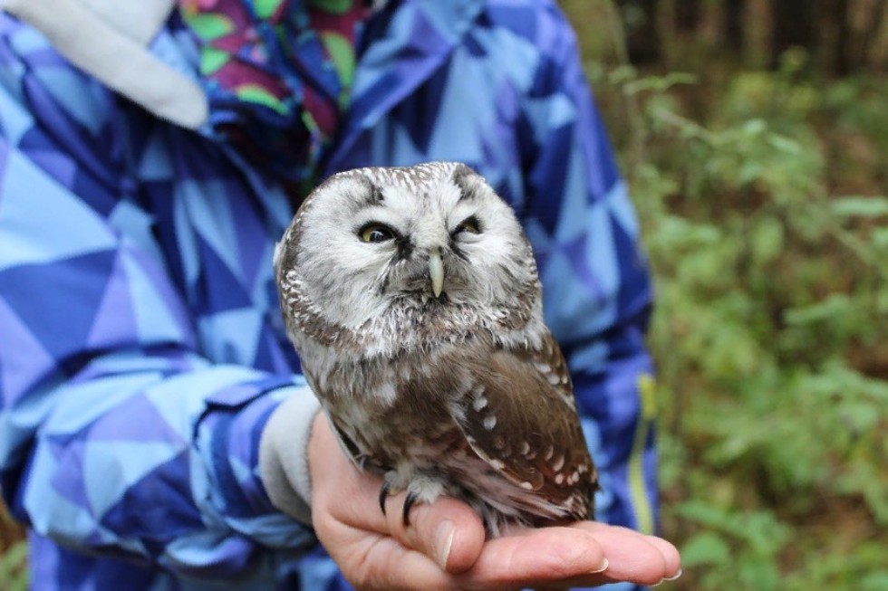 �������� ������