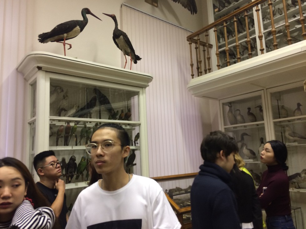 ����� ? ���, � ������ �������, ����������!