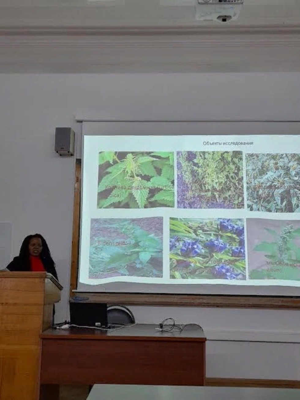 Проведение итоговой научной конференции сотрудников Казанского университета, секция: 'Актуальные проблемы биологии растений' на кафедре ботаники и физиологии растений Проведение итоговой научной конференции сотрудников Казанского университета, секция: 'Актуальные проблемы биологии растений' на кафедре ботаники и физиологии растений