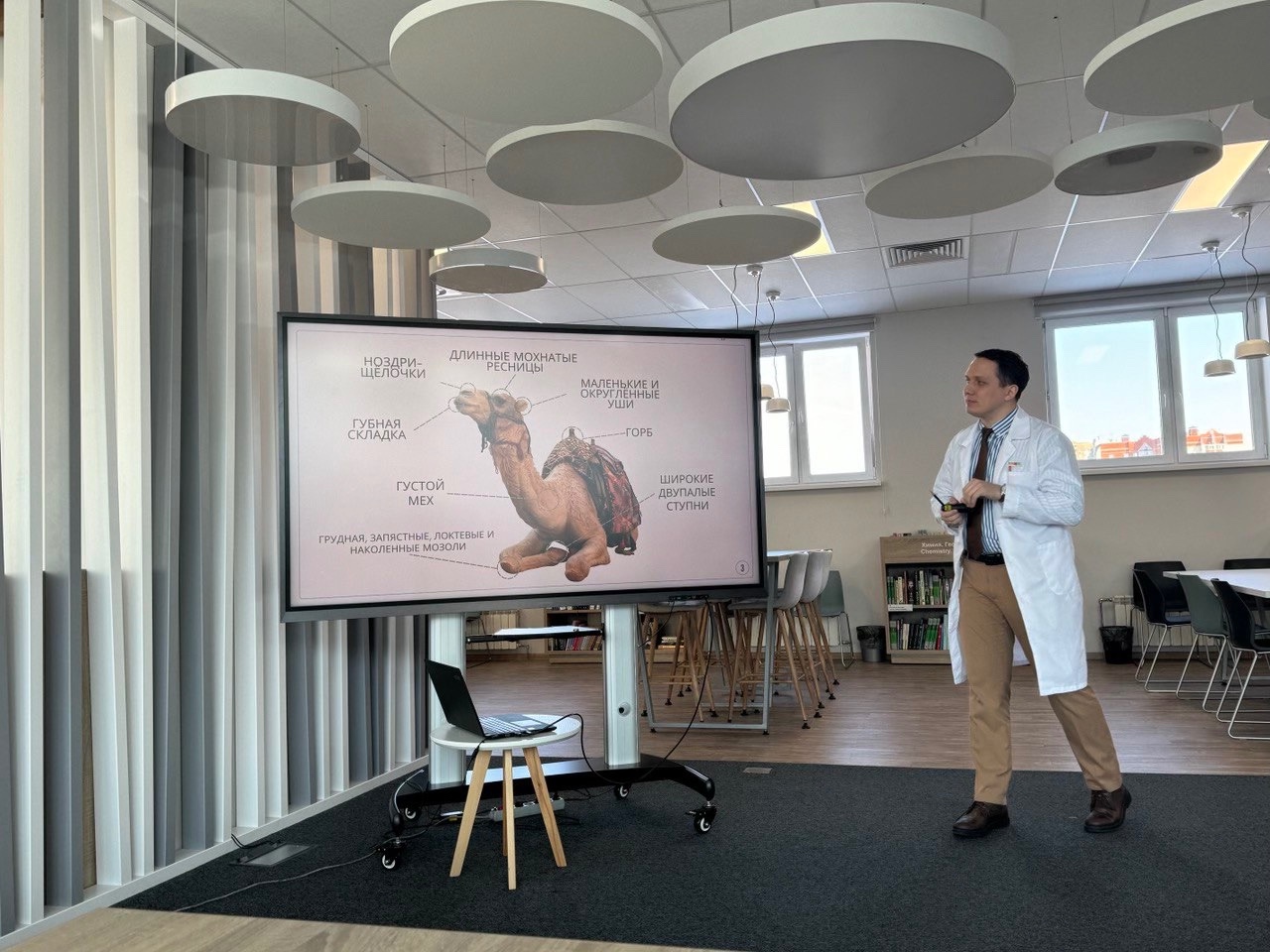 В лицее прошла декада естественно-научных дисциплин В лицее прошла декада естественно-научных дисциплин