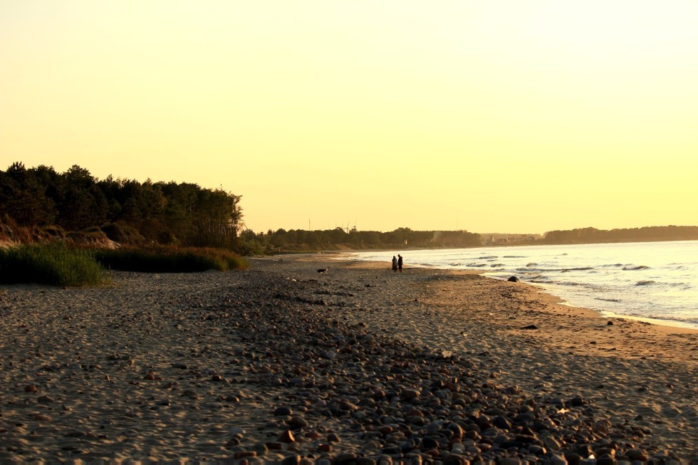 ��������� �����-������ ��������� ��������������� �������� � �������� ���������� ����� �������� ����� ������.