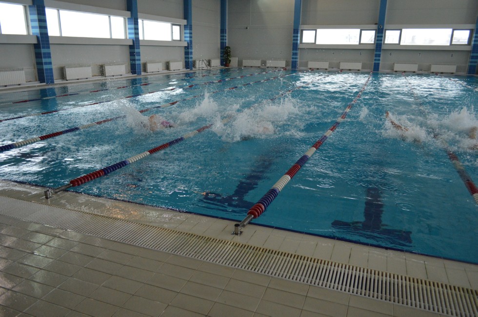 � �������� ���� - �������� ���