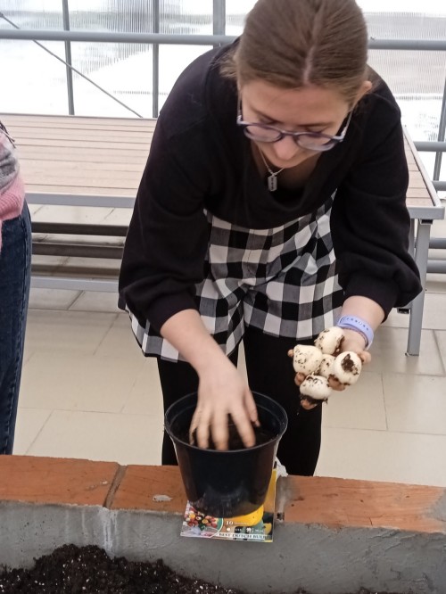 ��������, ���������� ������ ������