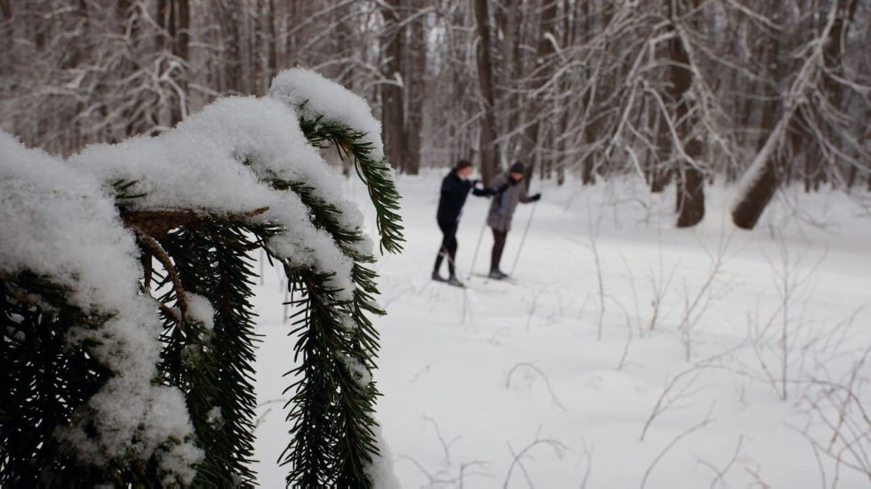 ����� �������� - 2021