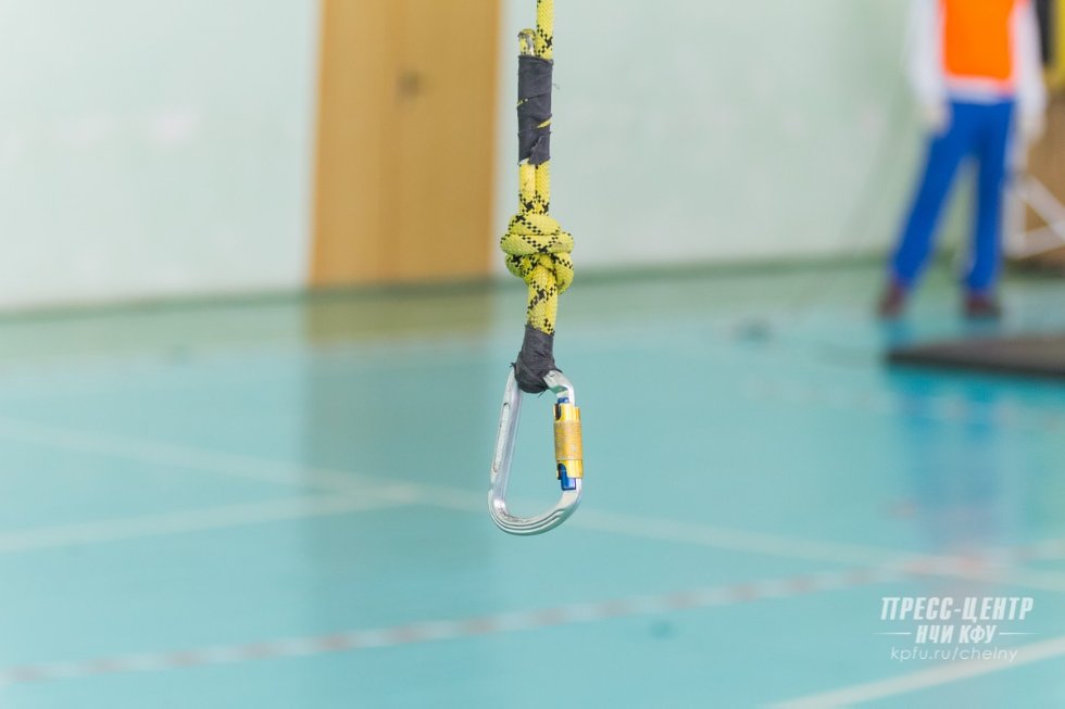 ���������� ������ - ����� � ��������! ,�������������, ������, ������������, ���, �����