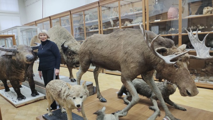 ����� ������������� �������� �������� ���������� ������������