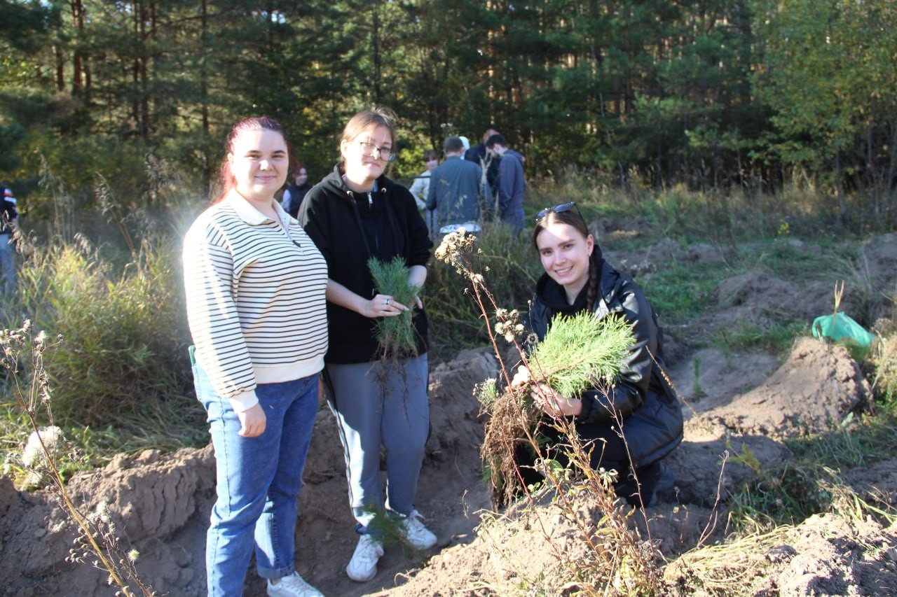 �������� ����������� ��������� ��� ������ ���� ����� � ���������� ������