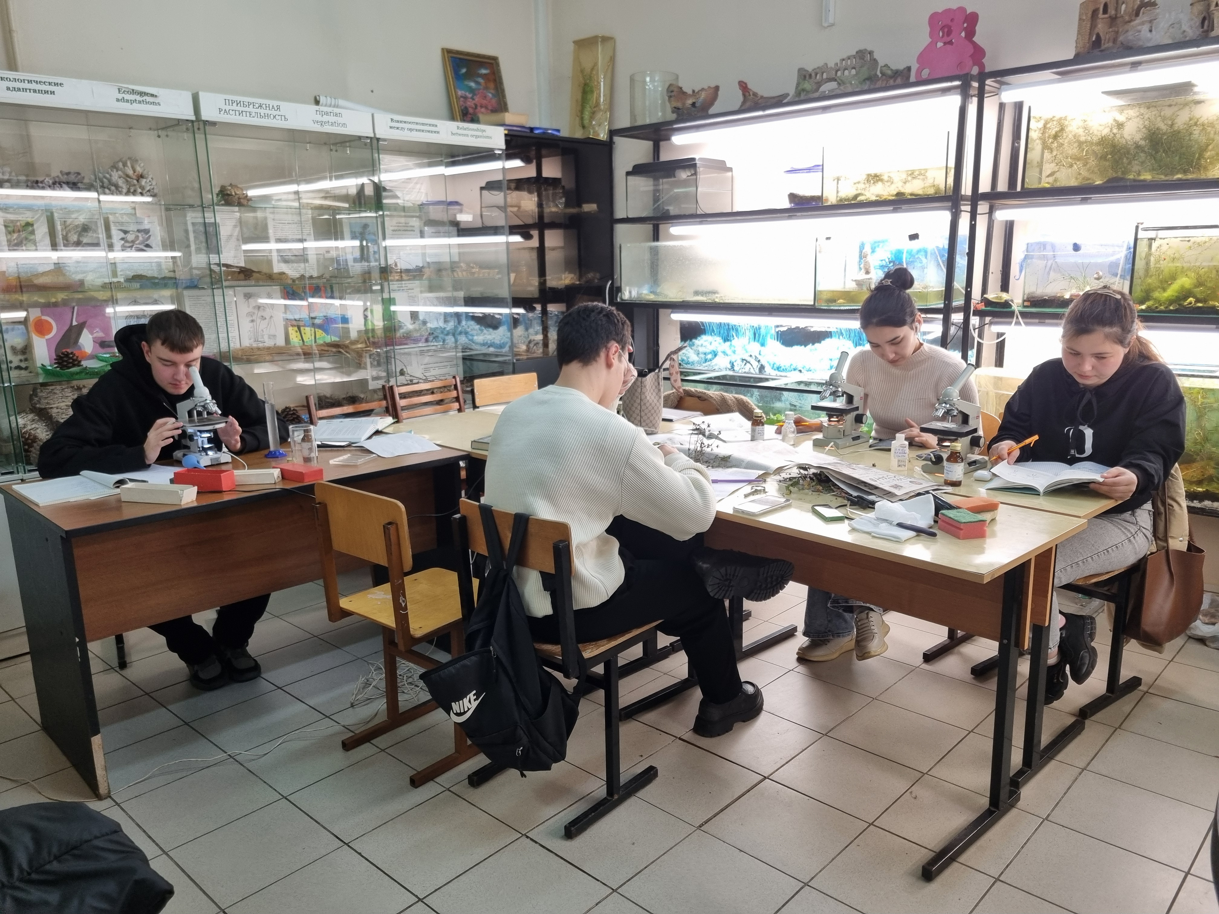 ������ ������������ ������� ������ ���