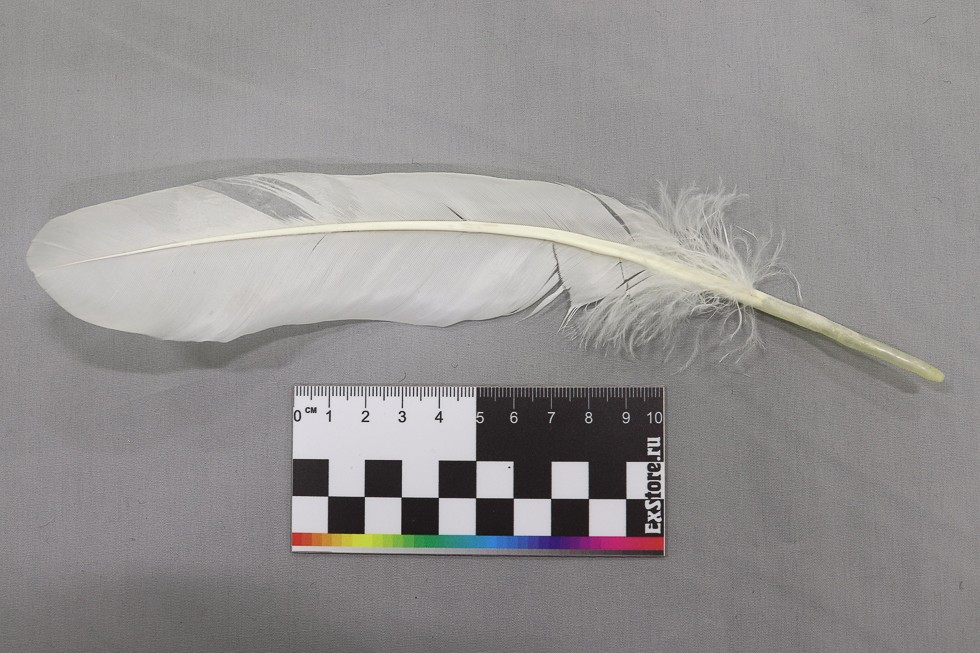 Профессия 'Реставратор': быть востребованным специалистом Профессия 'Реставратор': быть востребованным специалистом