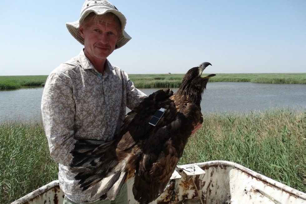 ��������� ����������� ��������� ��� �������� �� ���������� � ��������