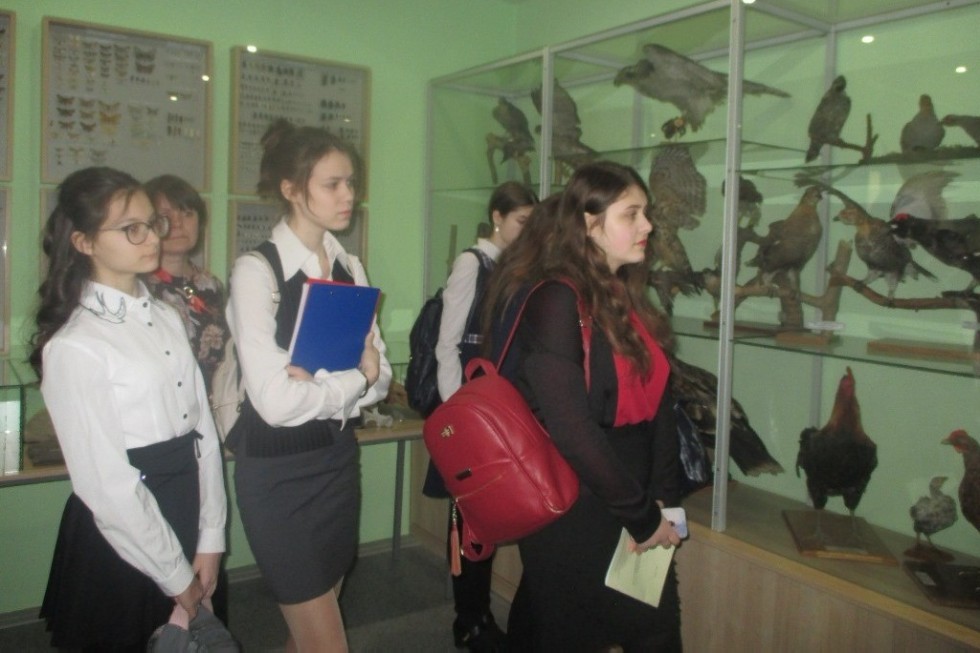 ��� '������������� �����: �������, ���������, �������'