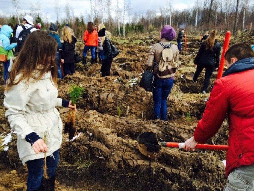 Social Committee of the Law Faculty Social Committee of the Law Faculty