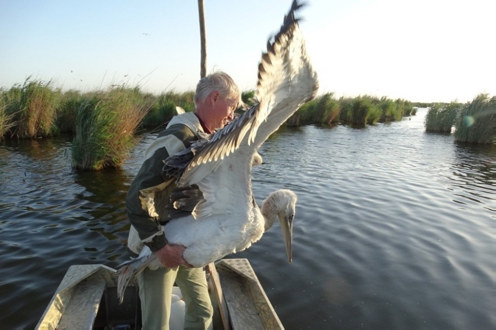 ��������� ����������� ��������� ��� �������� �� ���������� � ��������