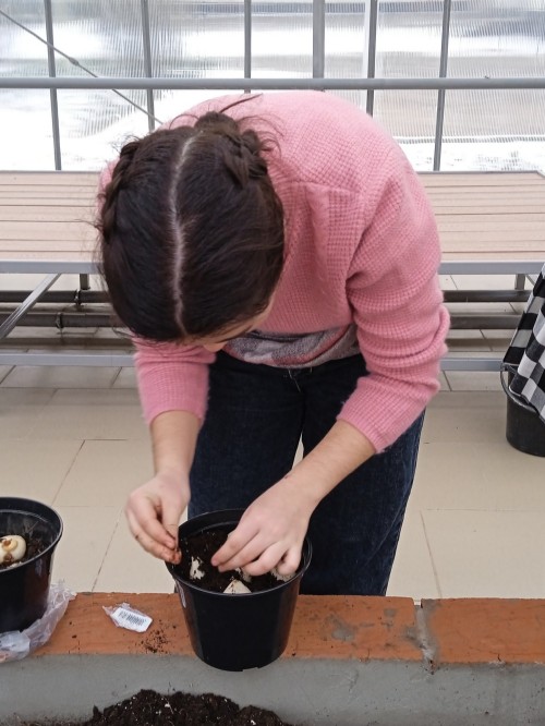 ��������, ���������� ������ ������