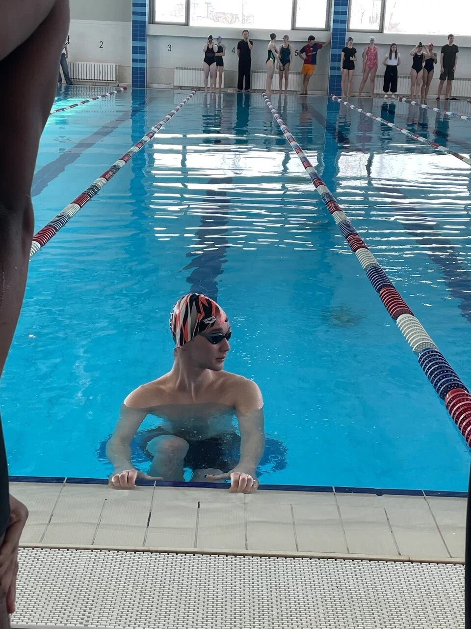 �������� ������������ ������ ,��������, ���������� ������������, ��������