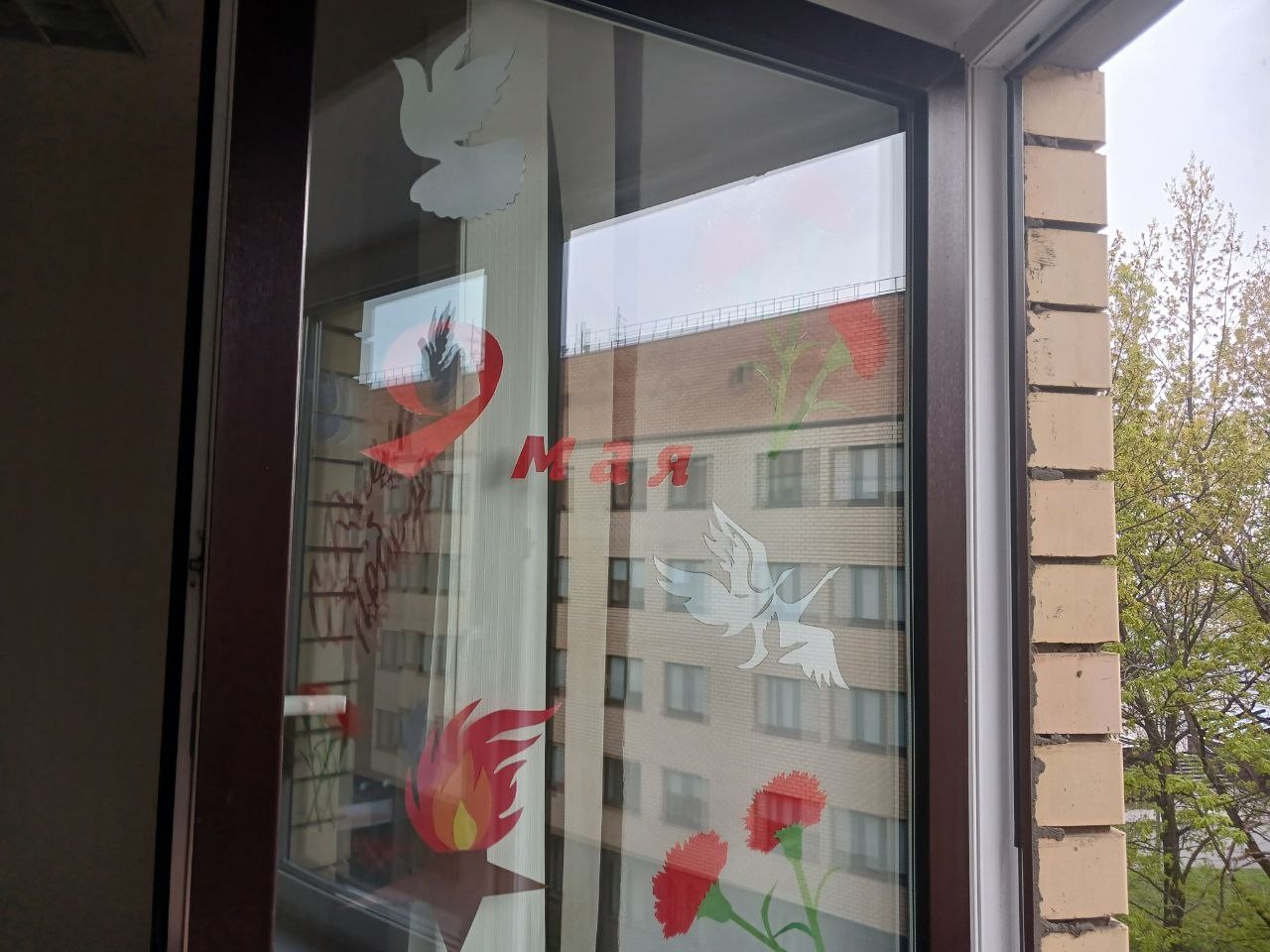 Окна Победы Окна Победы