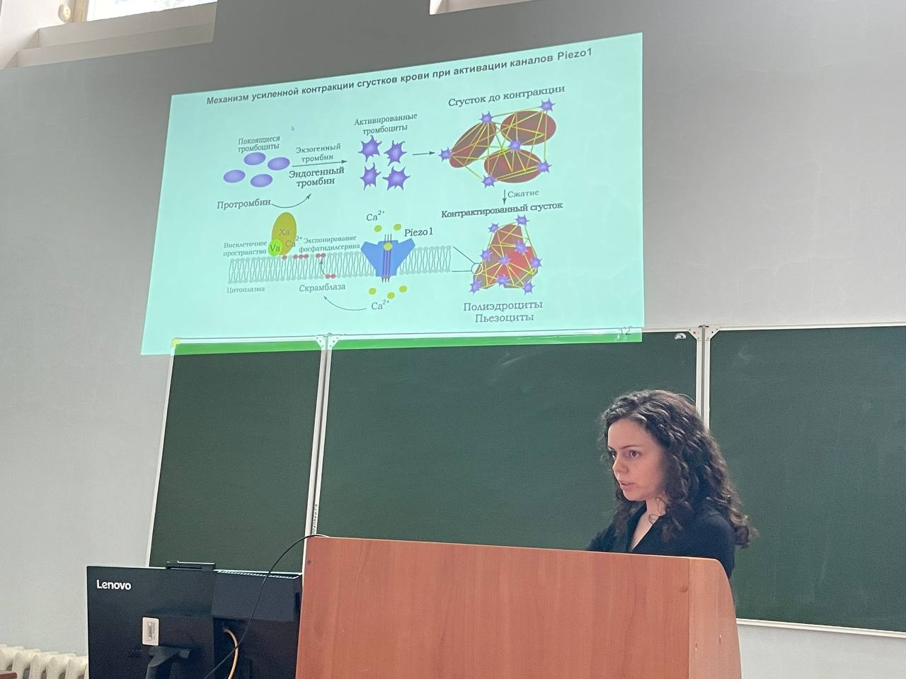 На кафедре состоялась предзащита диссертации Евтюгиной Натальи Геннадьевны по специальности 1.5.4 Биохимия На кафедре состоялась предзащита диссертации Евтюгиной Натальи Геннадьевны по специальности 1.5.4 Биохимия
