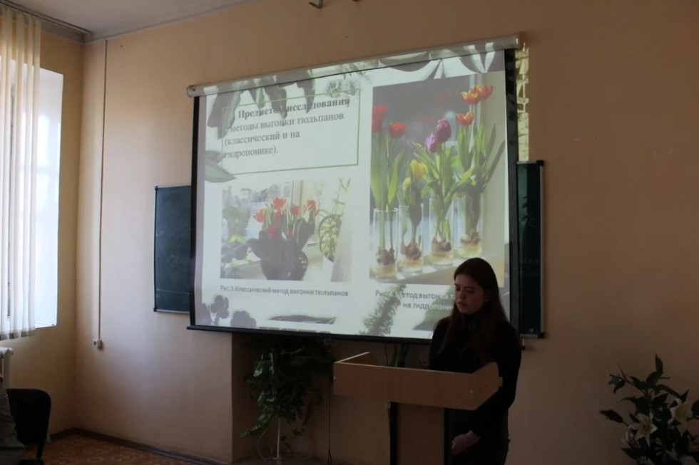 �� ������� �������� � ����� ���������� ������������ �����������