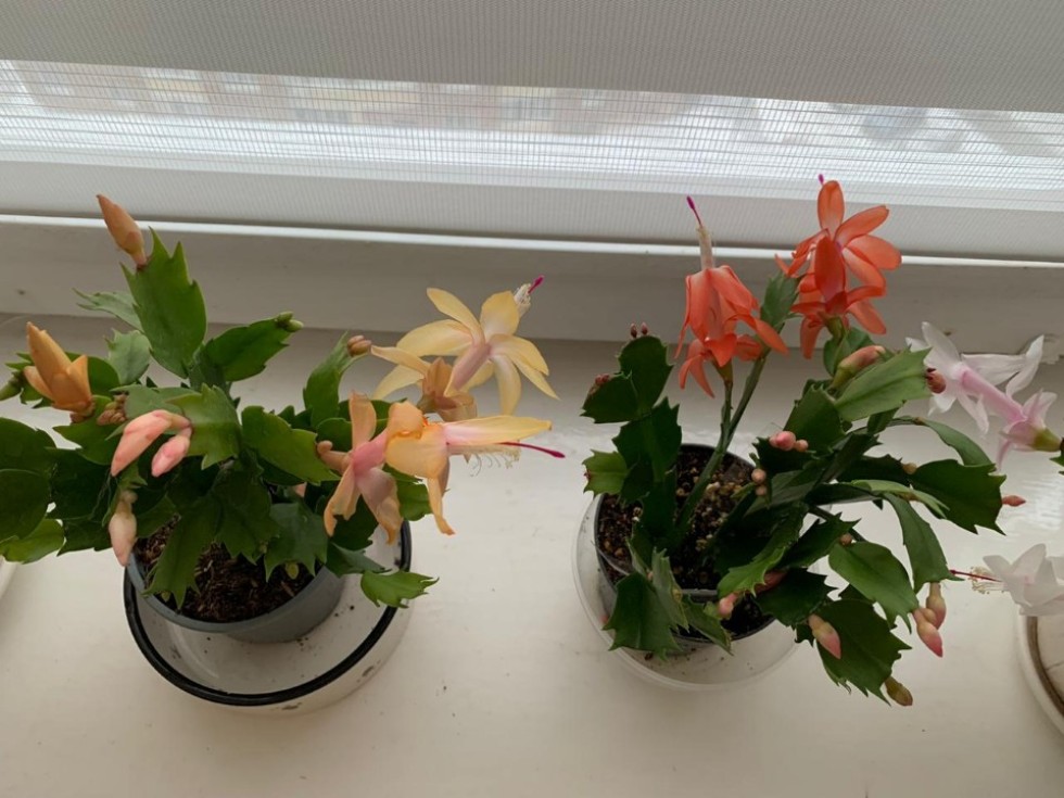 Юлия Журавлева: 'Химия ? это наука, умеющая творить чудеса' Юлия Журавлева: 'Химия ? это наука, умеющая творить чудеса'