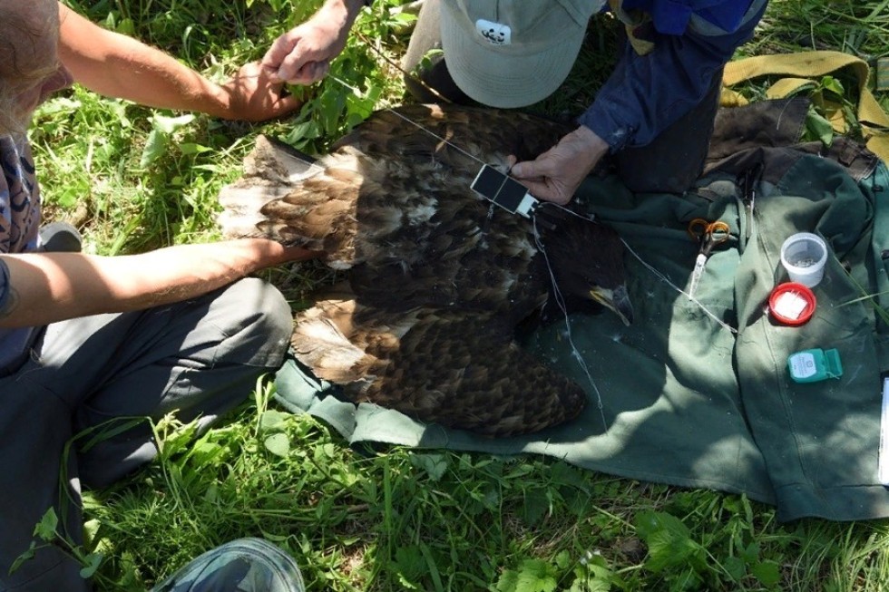 '������� ����������': ��� ������ ������� ����������