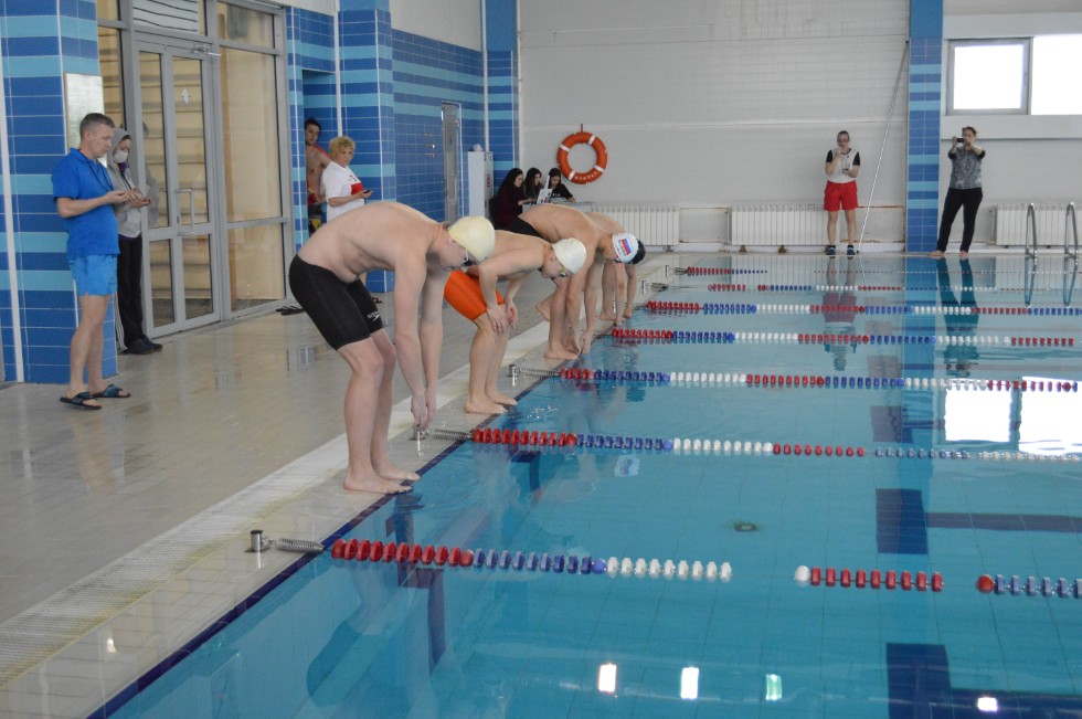 � �������� ���� - �������� ���