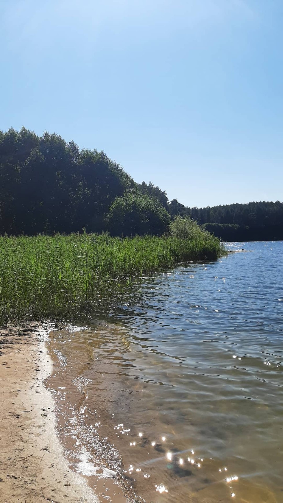 ���� ������ '������'