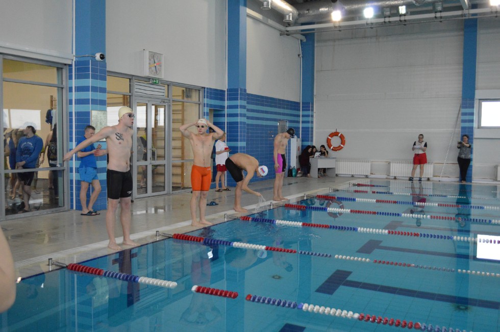 � �������� ���� - �������� ���