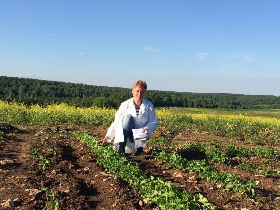 Botanists seek to introduce kale as everyday meal in Russia ,kale, botany, IFMB