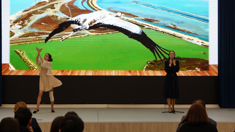 � ��������� ��������� � ������������� ������������ �������� ���� ��������