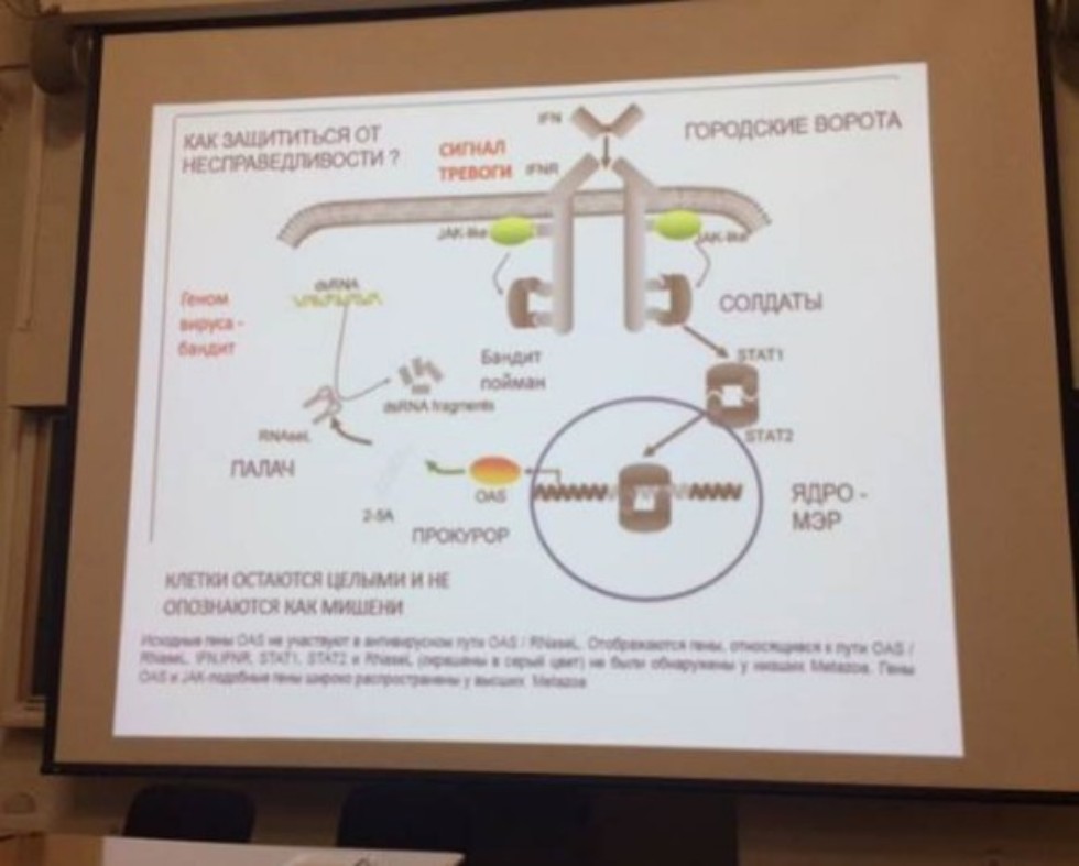 � ��� ������ ������ '������������ ��������� � COVID-19: ���� � ����������'