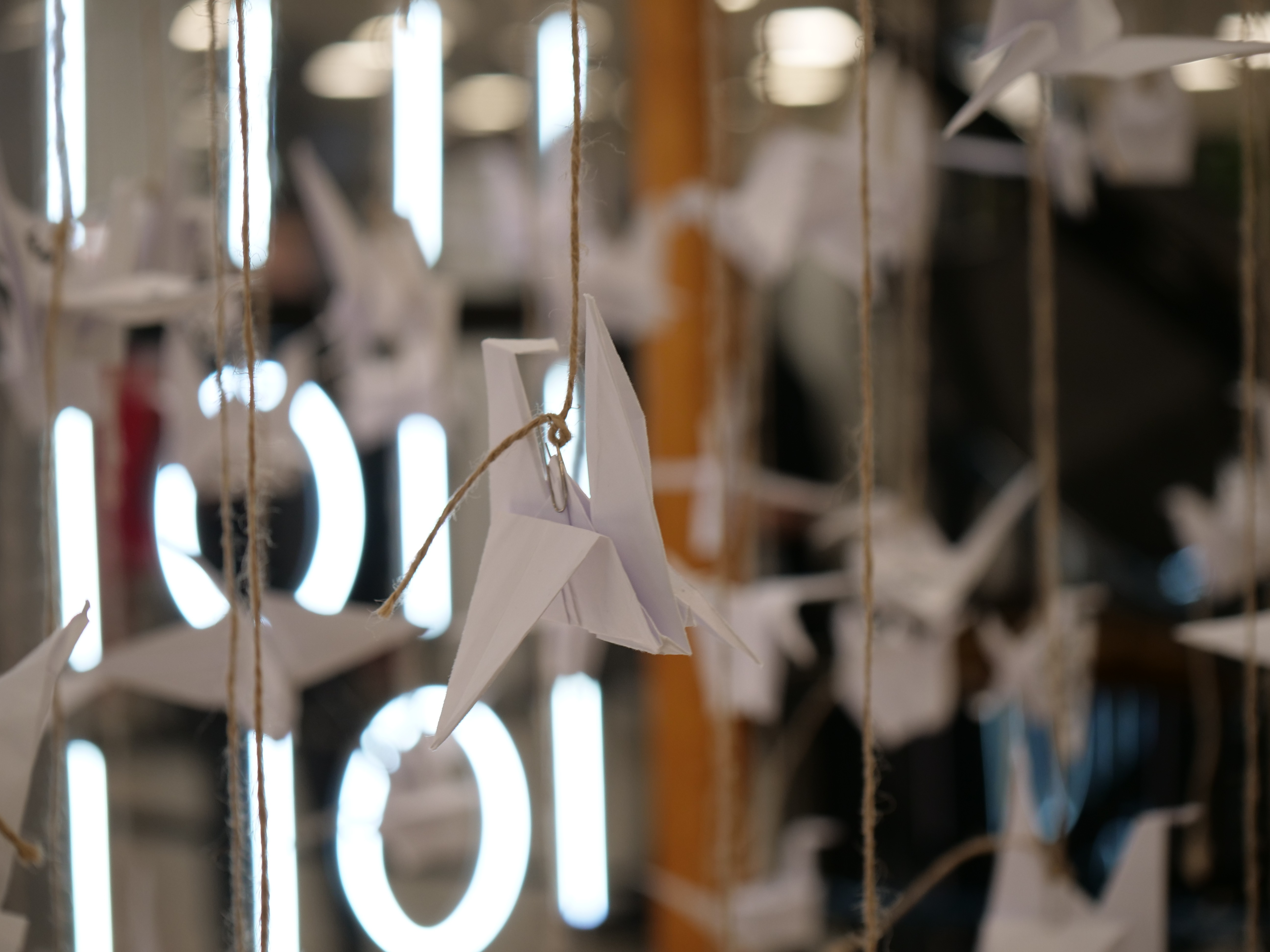 '������� ������' ���� ������ ������ � ��-����� ����� ������ �������