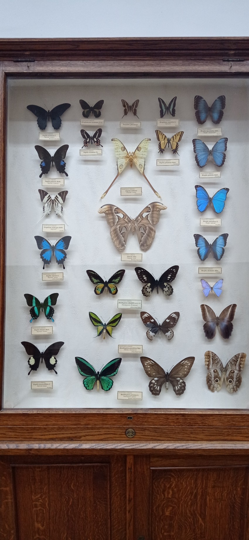 � ������ � �.�. ���������