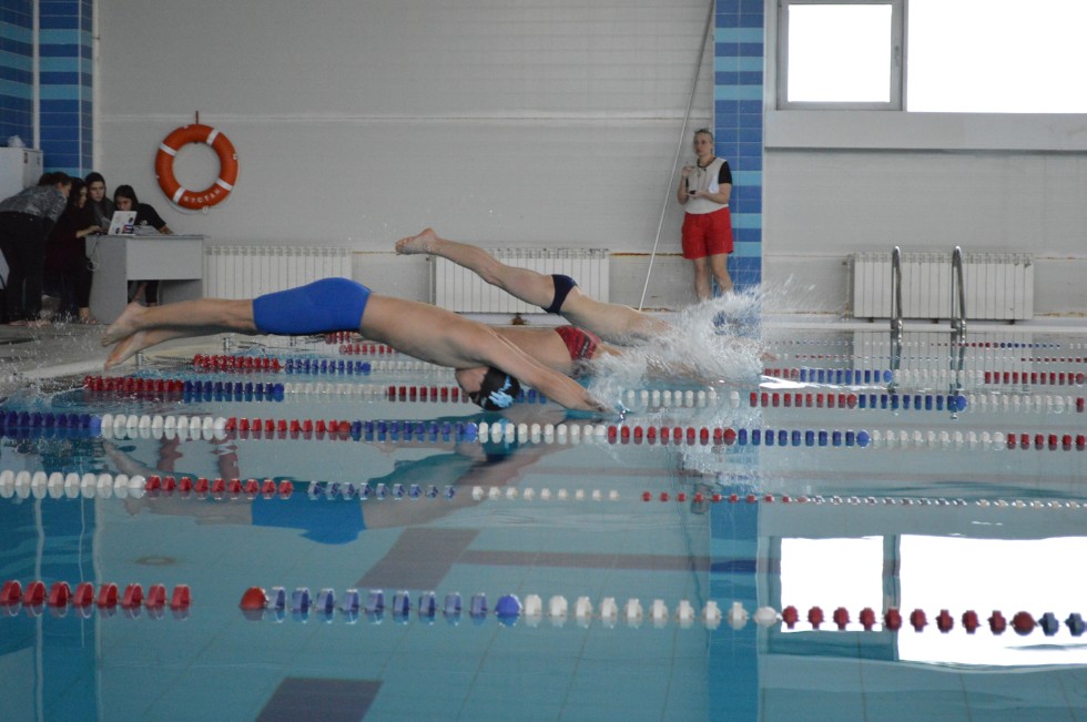 � �������� ���� - �������� ���