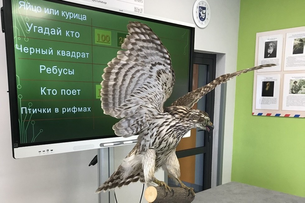 ������ ? ����� ������!