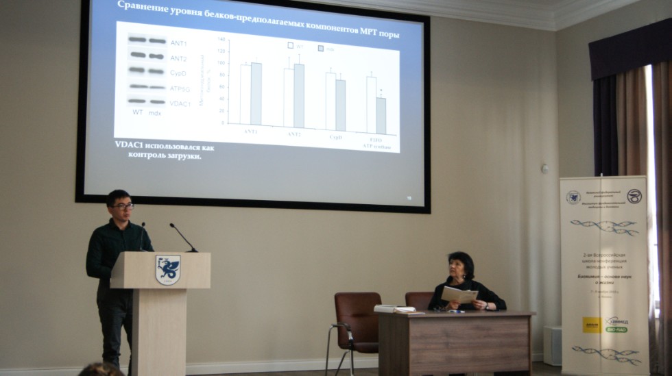 ���� � �����