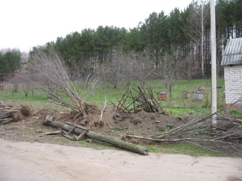 ������������ ��� �(�)��